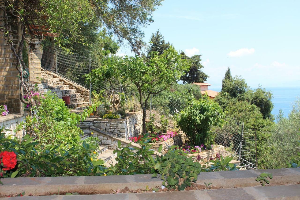 Aris Studio Corfu Pyrgi  Zewnętrze zdjęcie